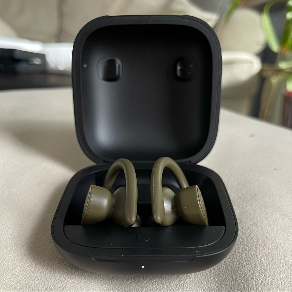 Beats By Dr. Dre Powerbeats Pro Bluetooth Earphones
Moss